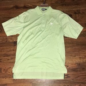 green and white stripped polo